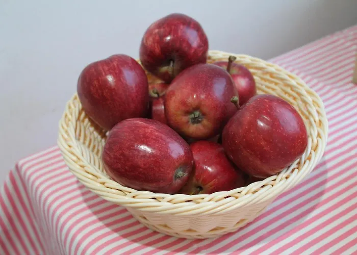 Possible بيت شباب