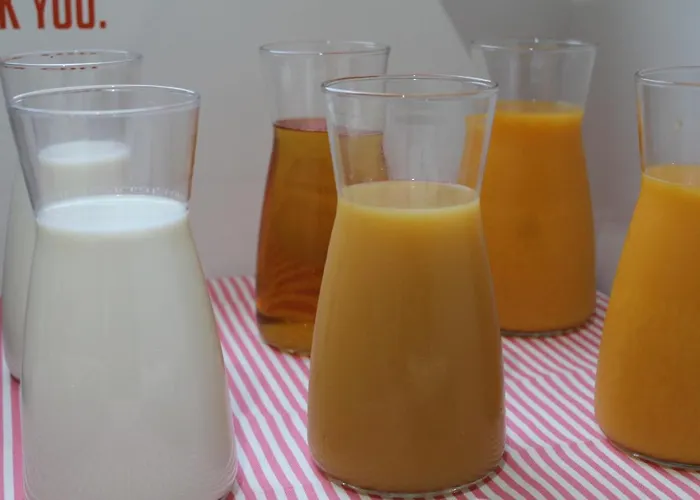 里斯本因波瑟伯尔旅馆 Lisboa